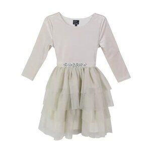 Pink Violet Big Girls Velvet Bodice Shimme Ivory Size 16 MSRP $84
